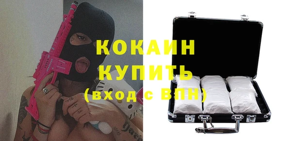 стаф Волосово