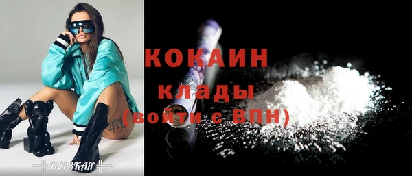 прущие крисы Вяземский