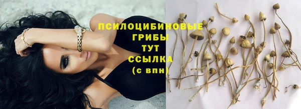 стаф Волосово