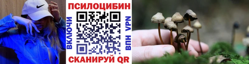 Купить  Магас  Псилоцибиновые грибы Magic Shrooms 