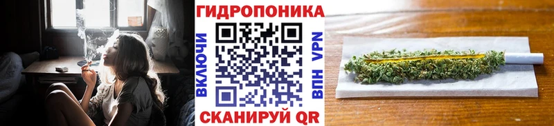 Шишки марихуана Ganja Магас