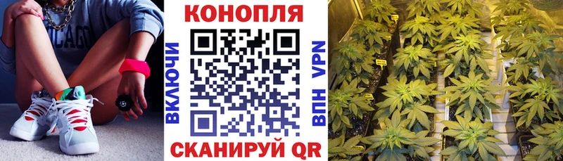 Купить закладки  Магас  Марихуана индика 